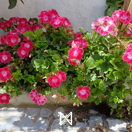 Mystay - Casa Sete Lano 아파트 *